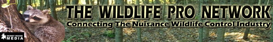 wildlifepronetwork wildlifepronetwork