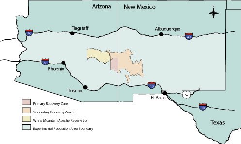 NM_wolf_recovery_area NM_wolf_recovery_area