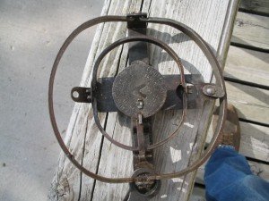 Gibbs_hawk_trap