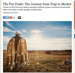 OL_MT_trapping_article