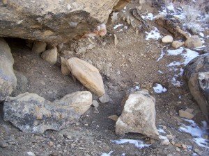 Trapping_traps_12_15_08 003