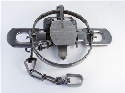 An Overview Of Coyote Traps Trapping Today